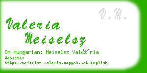 valeria meiselsz business card